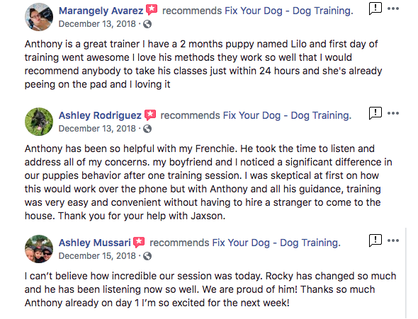 Dog Training Niagara Falls - Fix Your Dog | 6883 Cumberland Ct, Niagara Falls, ON L2H 2R6, Canada | Phone: (905) 351-2882