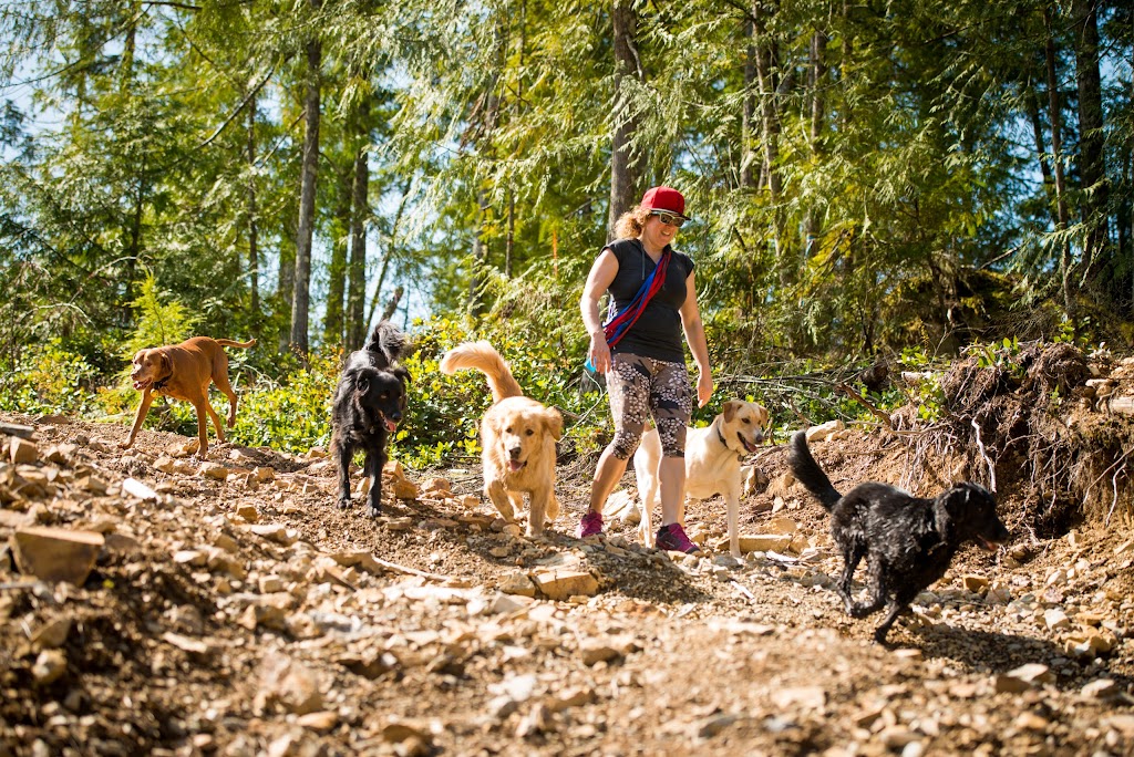 Squamish Dog Walking and Boarding, "Annie Let the Dogs Out" | 40340 Aristotle Dr, Squamish, BC V8B 0V5, Canada | Phone: (604) 892-8005