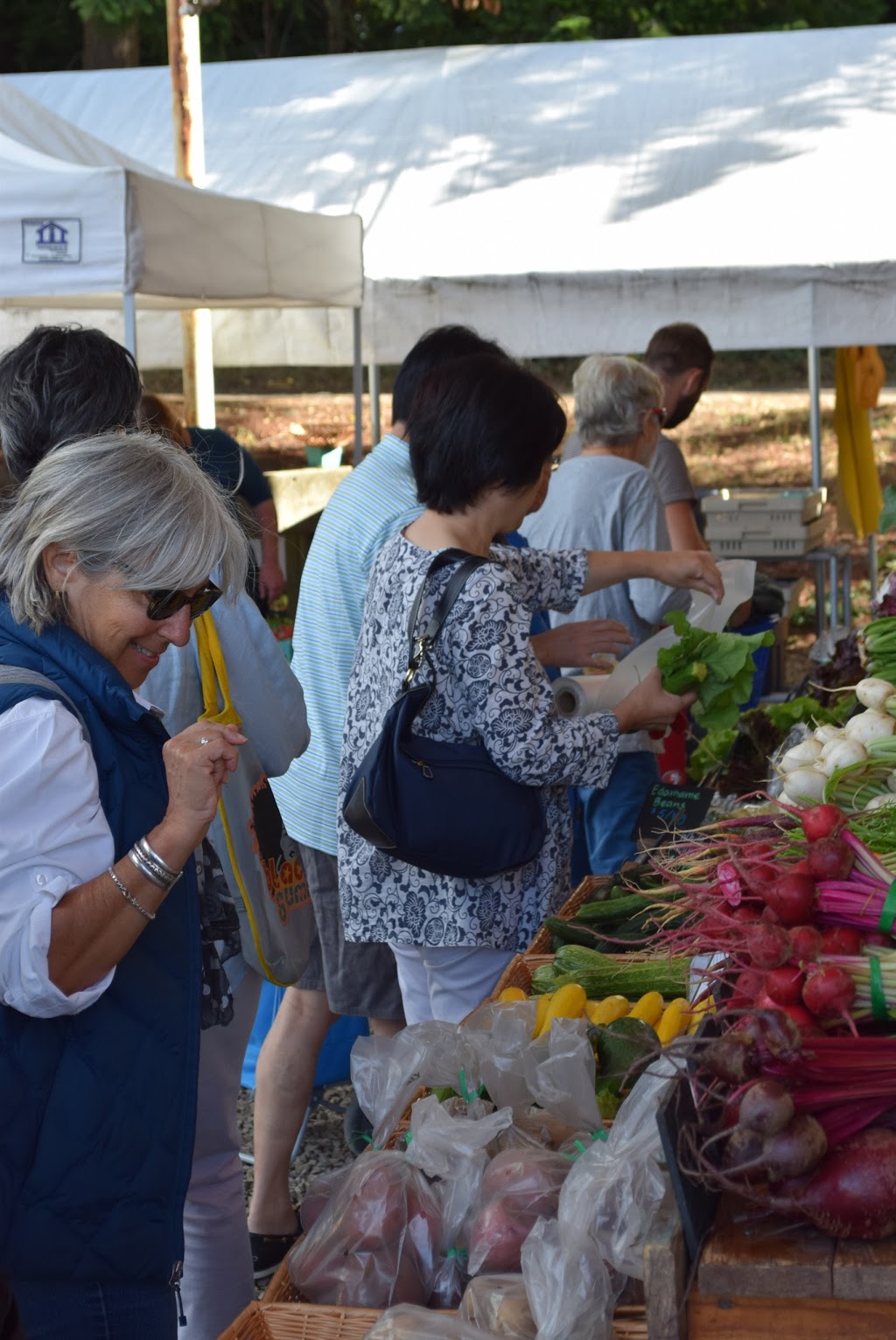 UBC Farm Farmers Market | 3461 Ross Drive, Vancouver, BC V6T 1W5, Canada | Phone: (604) 822-5092