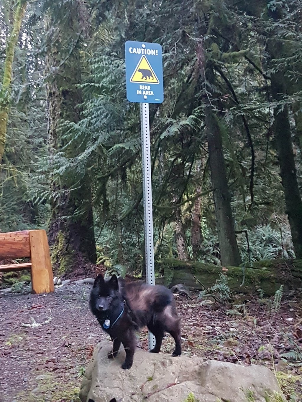 Juan De Fuca Salmon Restoration Society | 2895 Sooke River Rd, Sooke, BC V9Z 0Y1, Canada | Phone: (250) 642-4200