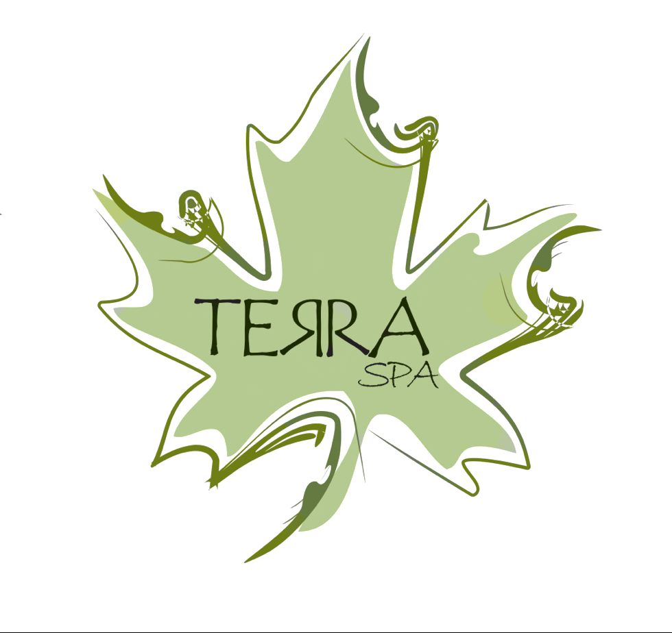 Terra Spa | 43 Mersey Dr, Kanata, ON K2K 0H2, Canada | Phone: (613) 883-9022