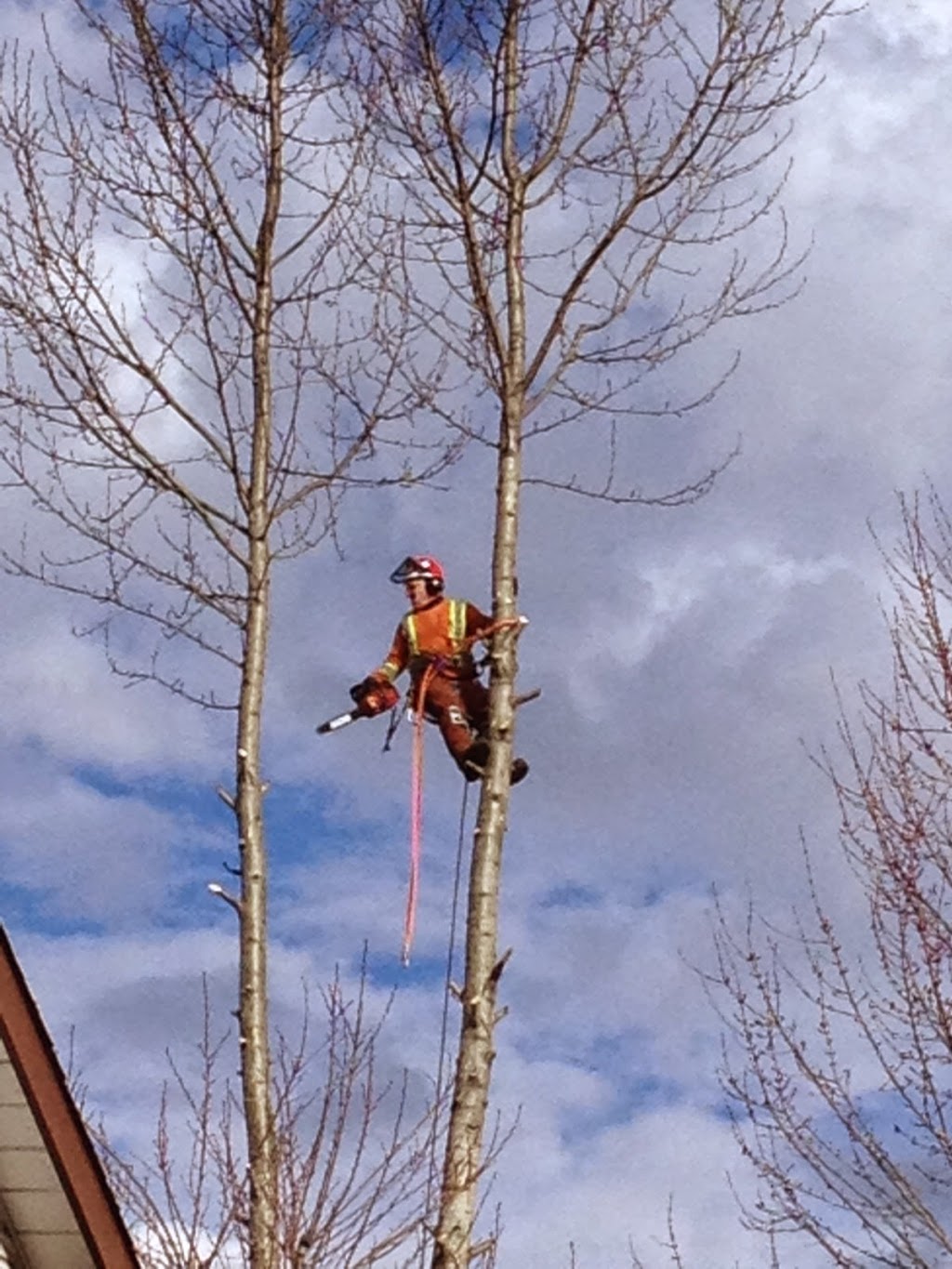 Arsenault Tree Service | 33746 Best Ave, Mission, BC V2V 6Z9, Canada | Phone: (604) 820-8842