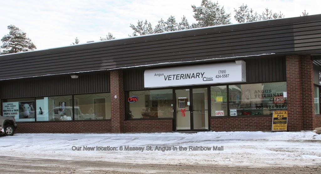 Angus Veterinary Clinic | 6 Massey St, Angus, ON L0M 1B0, Canada | Phone: (705) 424-5587