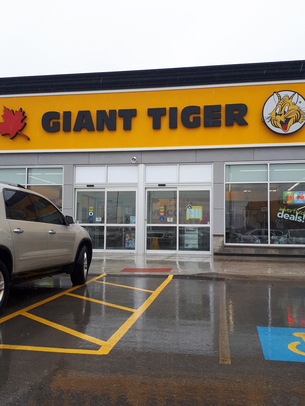 Giant Tiger | 1175 Hyde Park Rd, London, ON N6H 5K6, Canada | Phone: (519) 473-8911