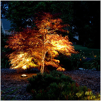 Illustrious Irrigation and Landscape Lighting | 327 Hollywood Dr, Keswick, ON L4P 3A2, Canada | Phone: (289) 231-3517