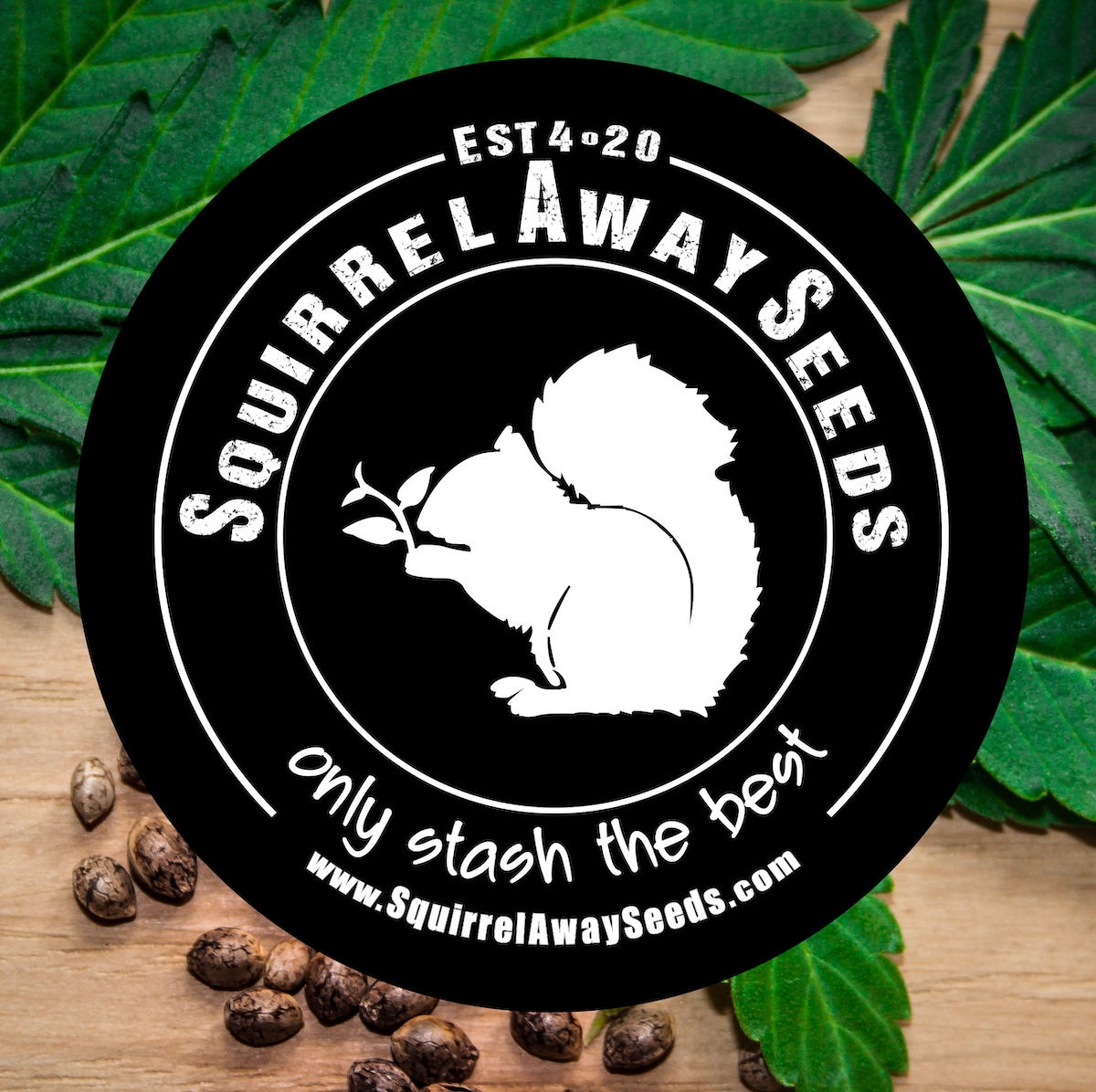 Squirrel Away Seeds | Hagersville, ON, Hagersville | Phone: (905) 531-2698