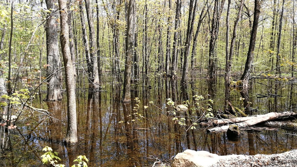 Parc-nature du Bois-de-Saraguay | Montreal, QC H4K 1C2, Canada | Phone: (514) 280-6729