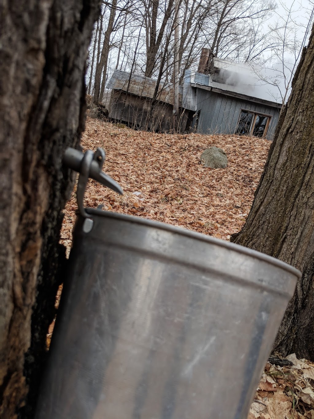 Cabane à Sucre Sincennes | 63 Chemin dEardley, Sainte-Cécile-de-Masham, QC J0X 2W0, Canada | Phone: (819) 456-2327