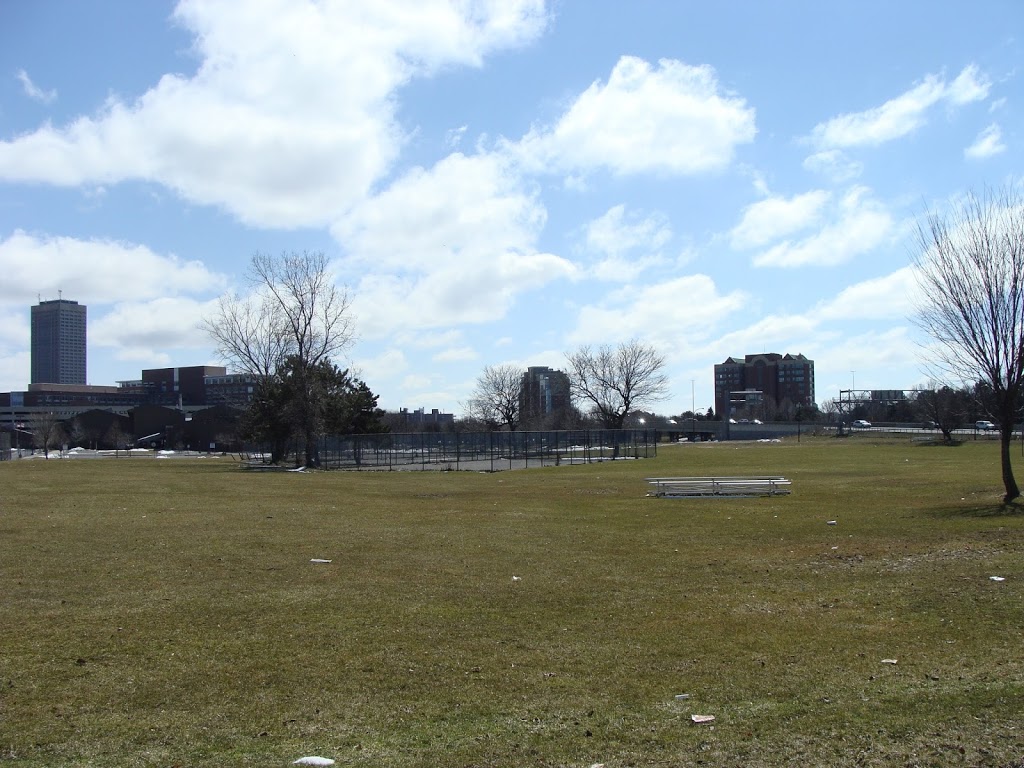 Waterfront/Emerson Young Park | Buffalo, NY 14201, USA