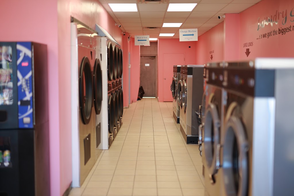 Laundry Sux! | 799 Park Rd S, Oshawa, ON L1J 4K1, Canada | Phone: (647) 667-6460
