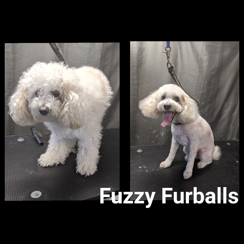 Fuzzy Furballs Grooming | 15235 94 St, Edmonton, AB T5E 3W7, Canada | Phone: (780) 970-8596