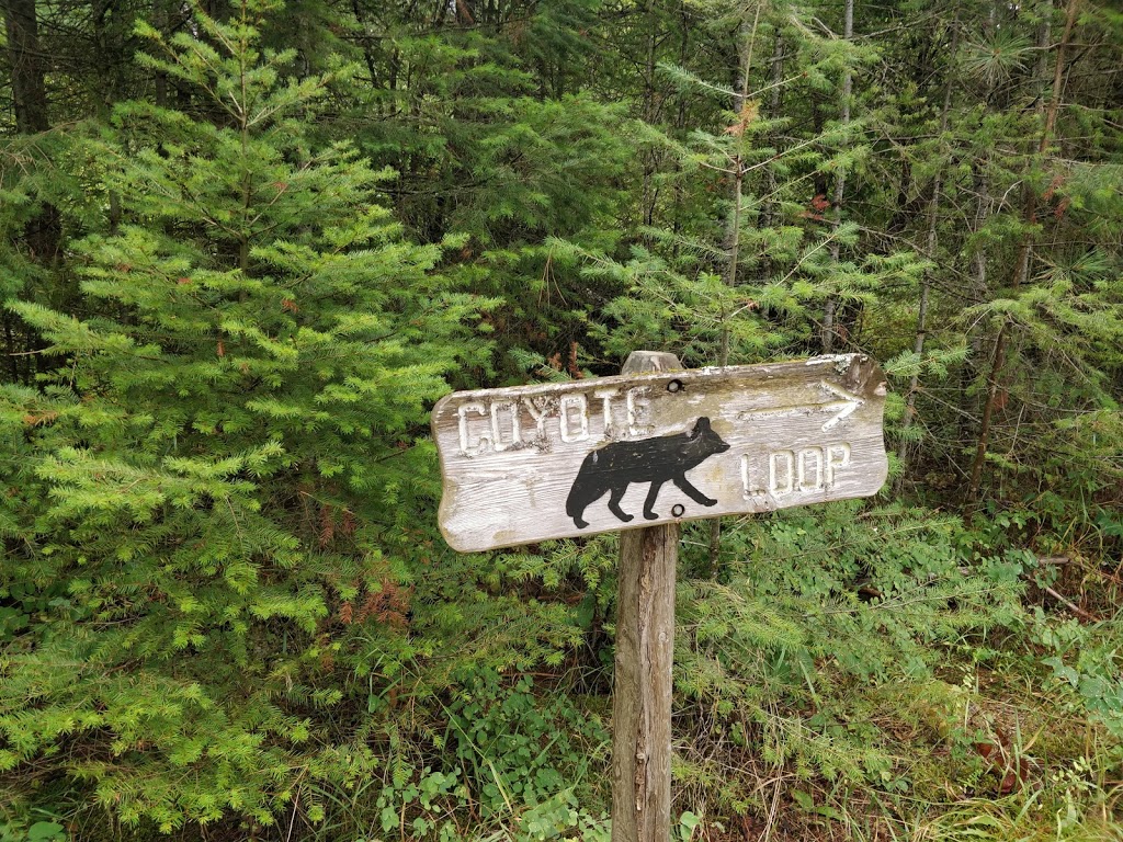 Thomas Hayes Ecological Park Trailhead | 1249 Thomas Hayes Rd, Armstrong, BC V0E 1B6, Canada