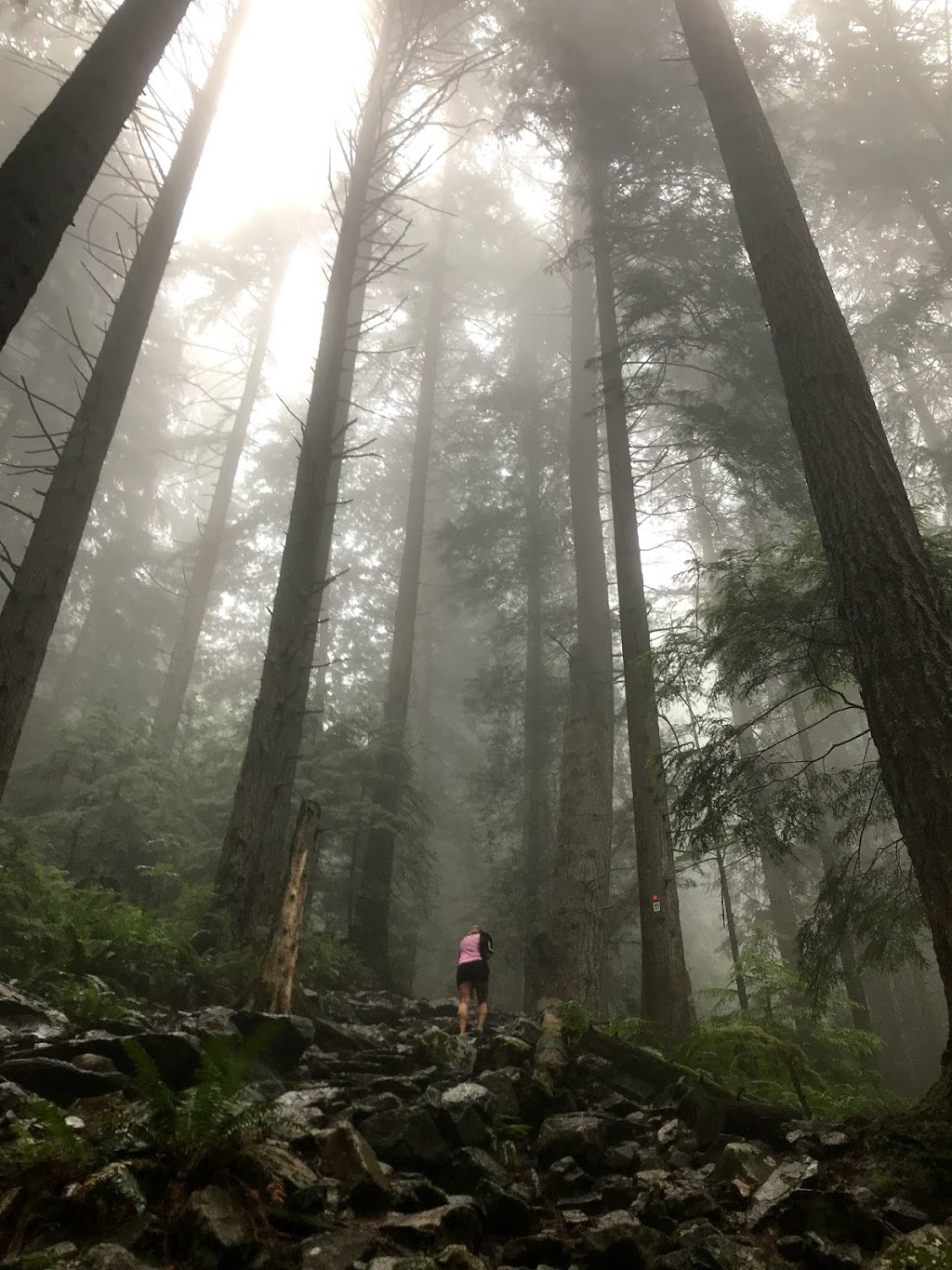 Grouse Grind Trail | 6400 Nancy Greene Way, North Vancouver, BC V7R 4K9, Canada | Phone: (604) 224-5739