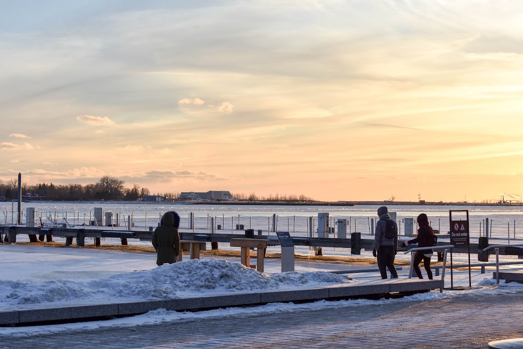 Harbourfront Centre Natrel Rink | 235 Queens Quay W, Toronto, ON M5J 2G8, Canada | Phone: (416) 973-4000