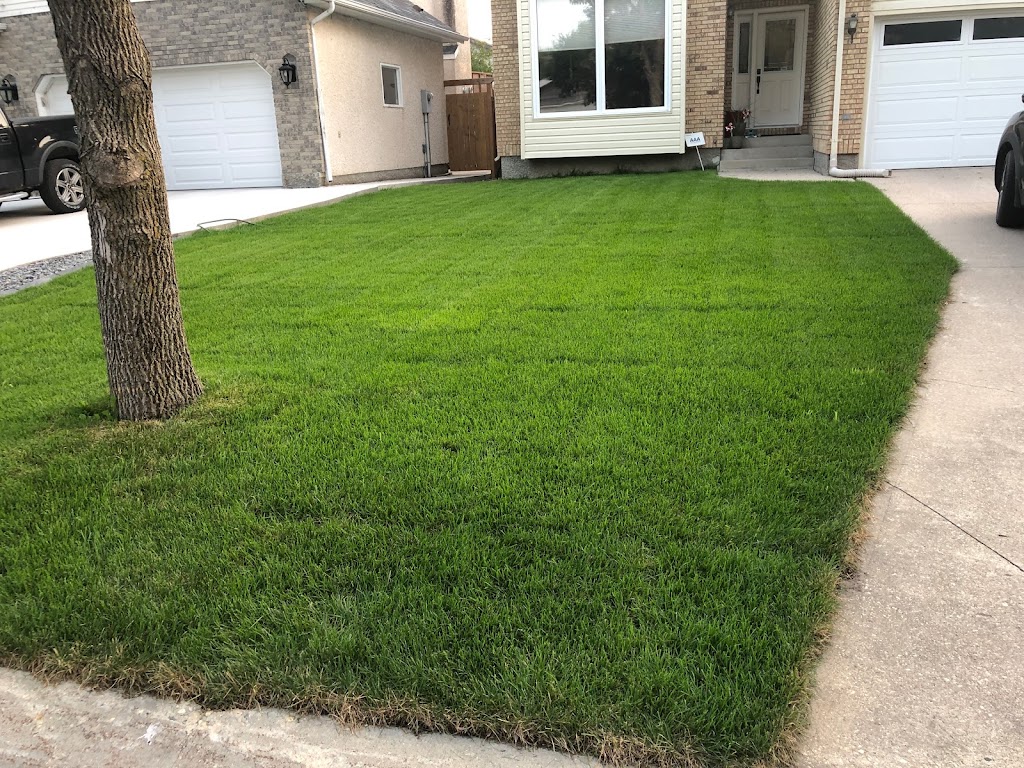 AAA Lawncare | 572 Island Shore Blvd, Winnipeg, MB R3X 2E3, Canada | Phone: (204) 782-5425