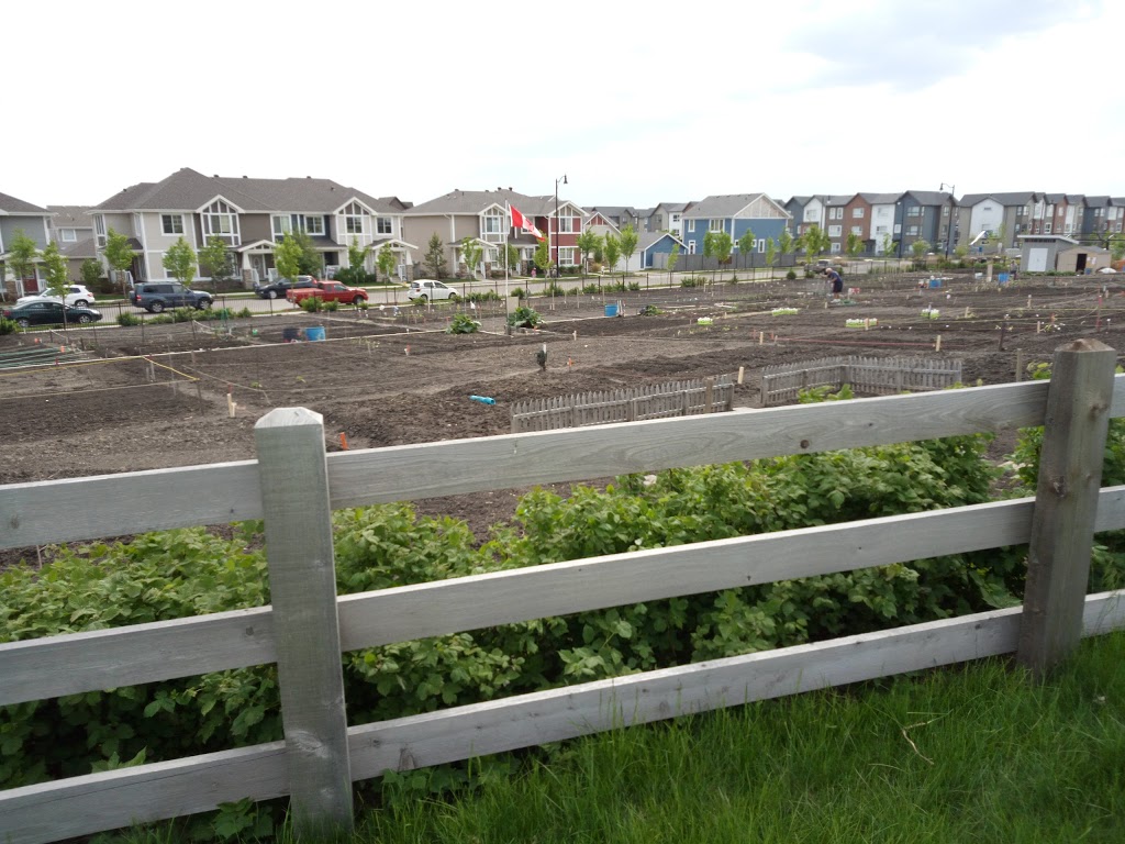 Griesbach Community Garden | Griesbach, Edmonton, AB T5E 6R1, Canada