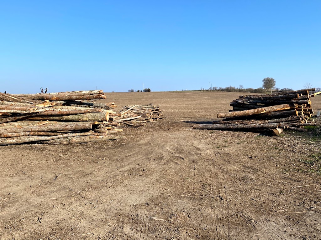 Maple Vista Firewood | 4135 Barrie Rd, Port Hope, ON L1A 3V8, Canada | Phone: (905) 376-2213