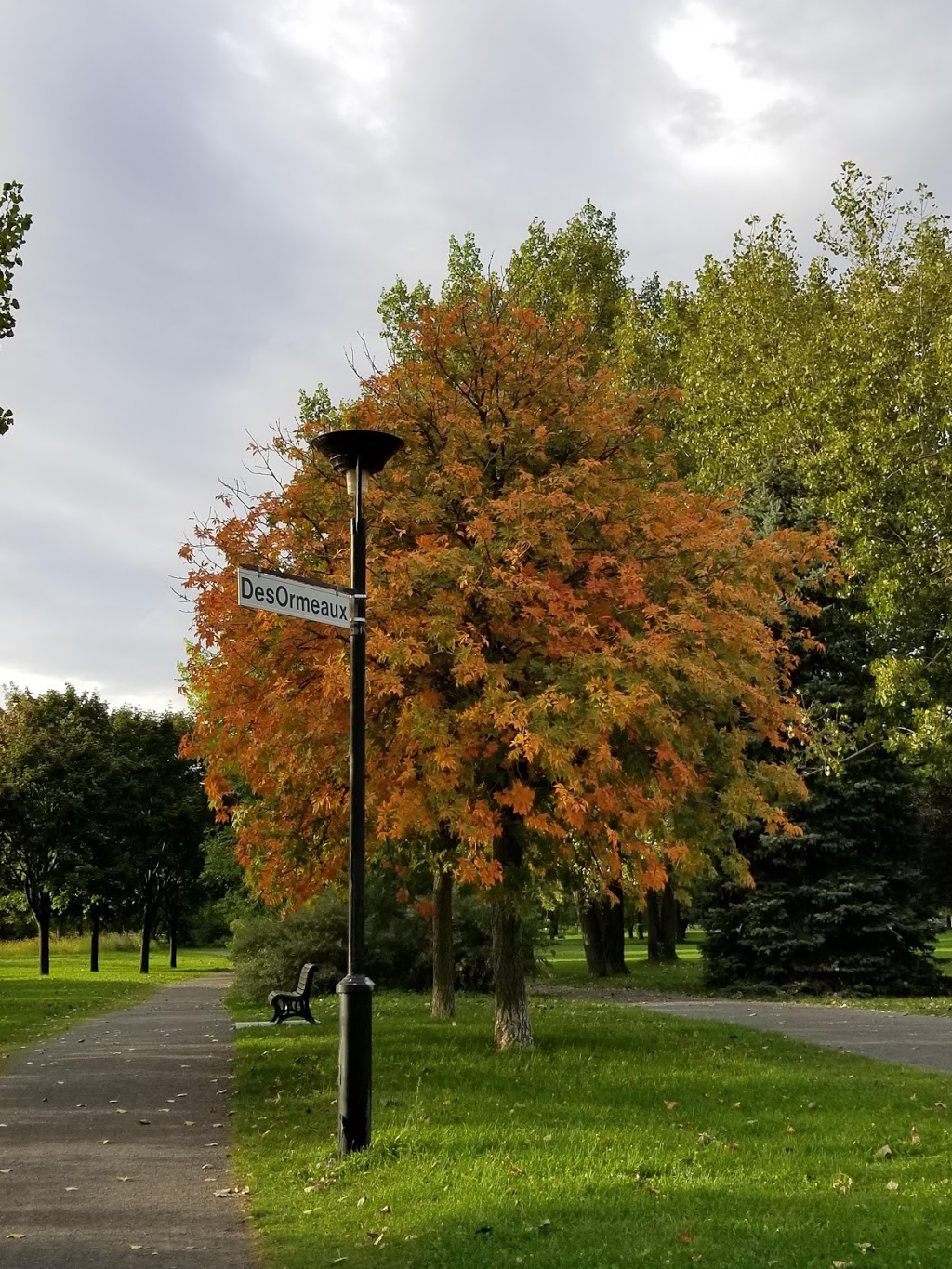 Parc Pierre-Tétreault | Mercier-Hochelaga-Maisonneuve, Montreal, QC H1L, Canada | Phone: (514) 872-0311