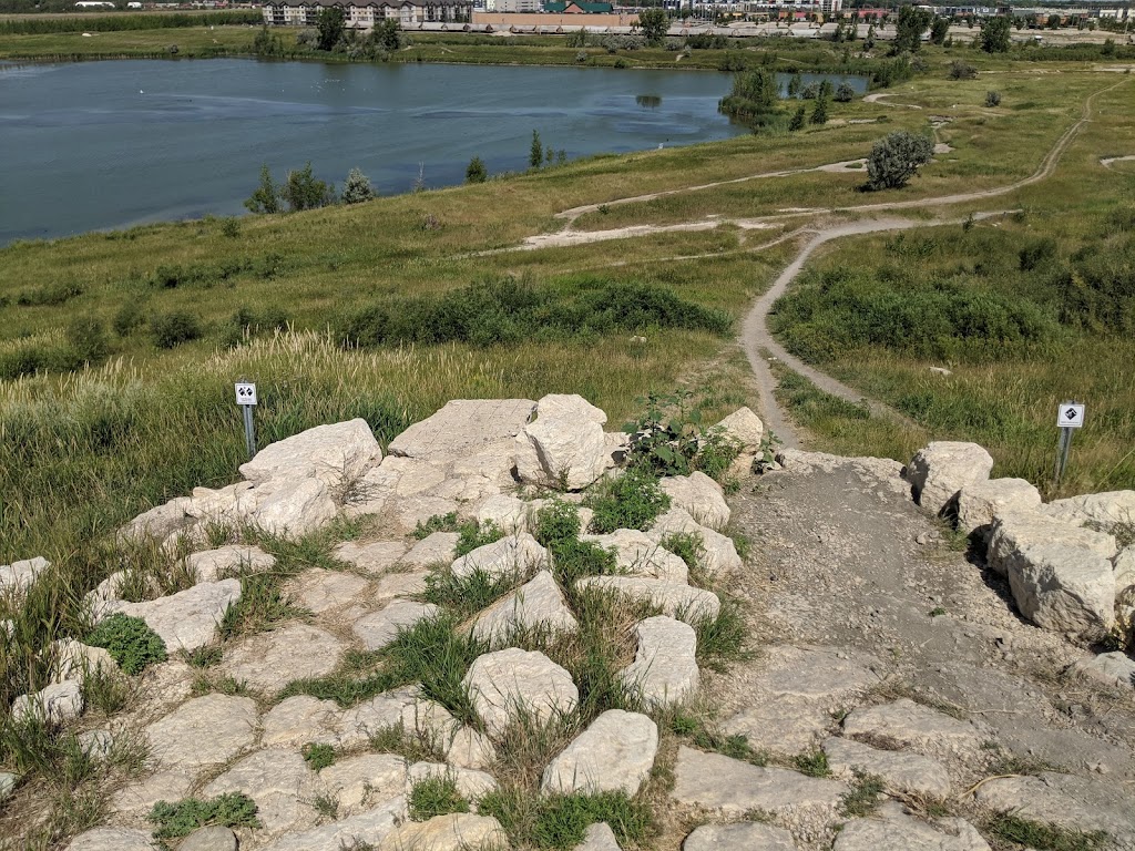 Bison Butte Mountain Bike Course | Tuxedo Industrials, Winnipeg, MB R3P 1J9, Canada | Phone: (204) 989-8355