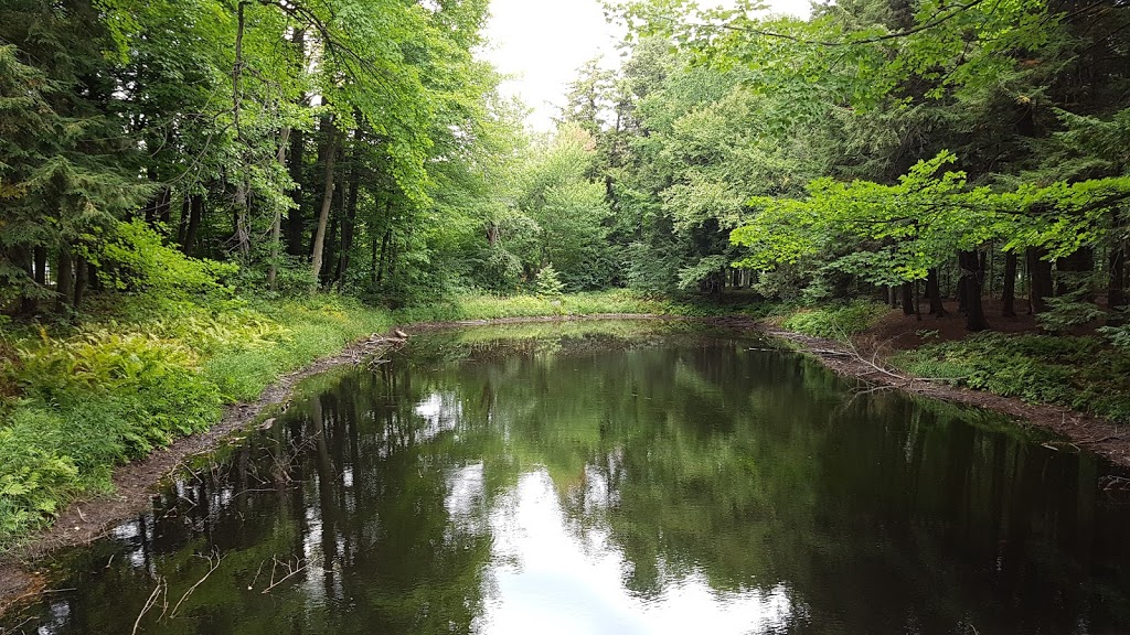 Réserve Naturelle Du Boisé-du-Séminaire | 645 Boulevard Louis Fréchette, Nicolet, QC J3T 1L6, Canada | Phone: (819) 293-6158