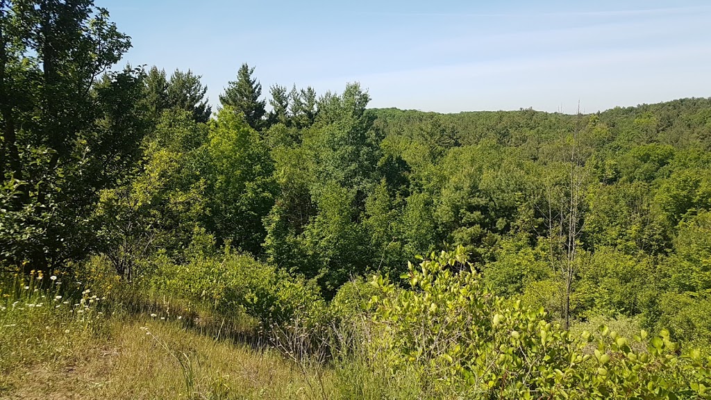 Glen Major Forest Trail - Lookout | Uxbridge, ON L0C, Canada