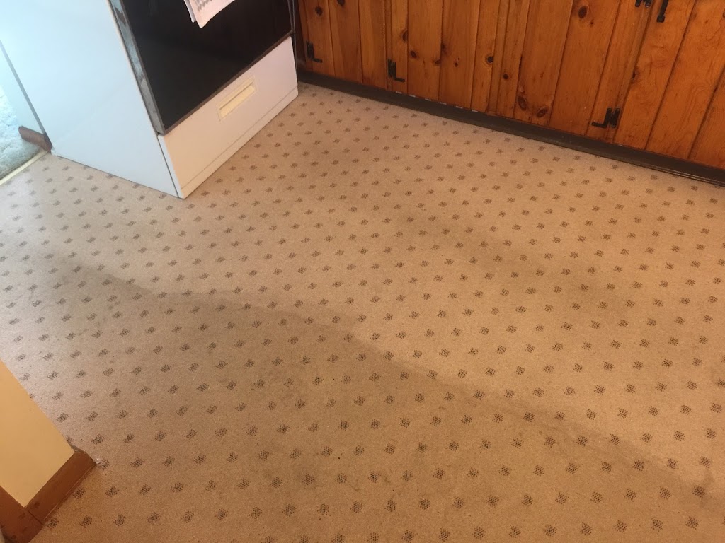 Pristine Steam Carpet Cleaning | 2140 Love Rd, Grand Island, NY 14072, USA | Phone: (716) 867-1143