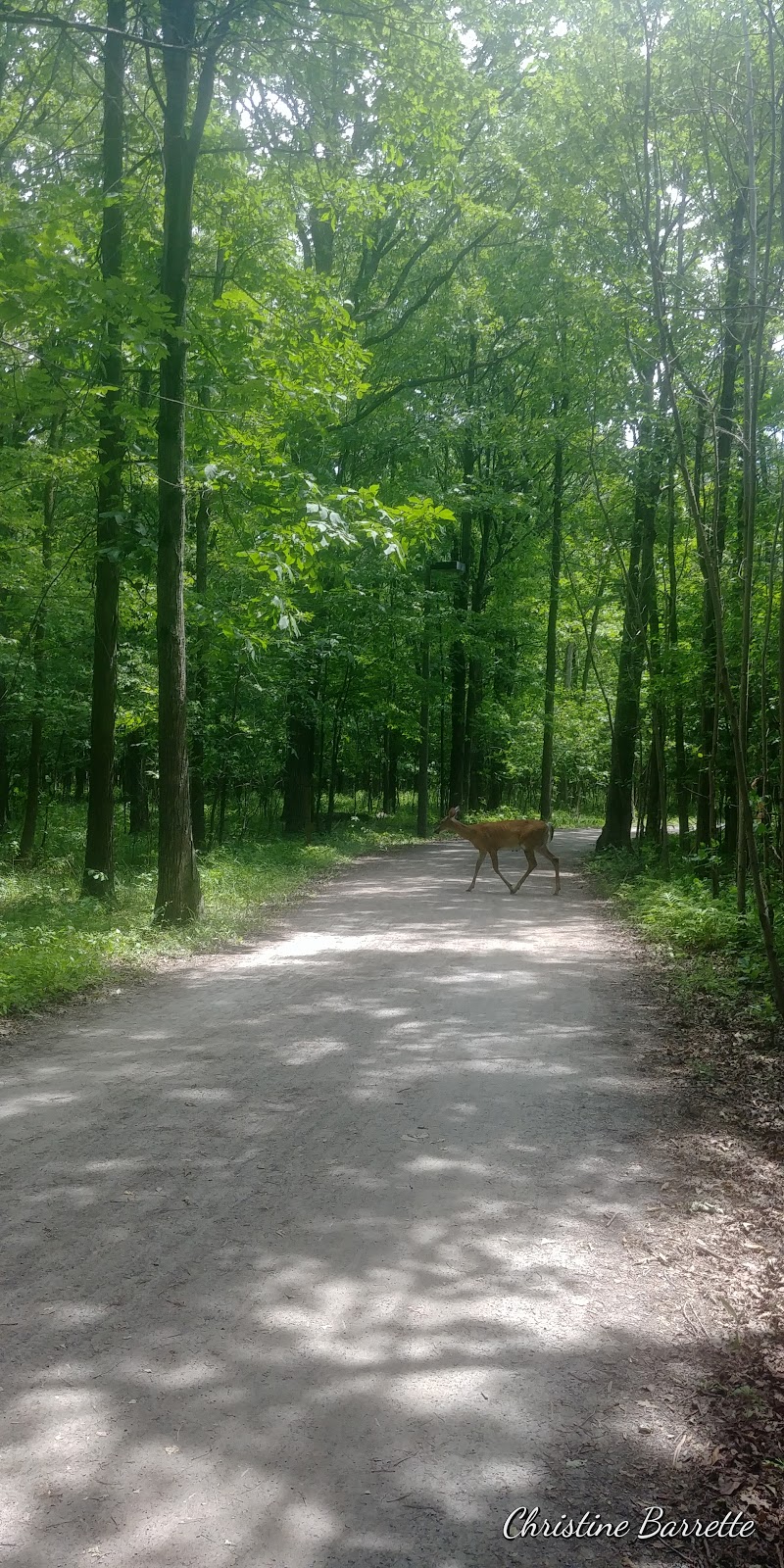 Parc Michel Chartrand | 1800 Chemin du Lac, Longueuil, QC J4J 4V5, Canada | Phone: (450) 468-7619