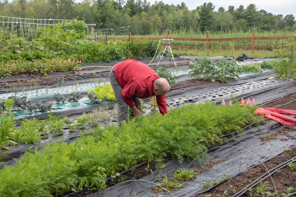 La ferme au grand saule | 450 Rue Saint-Patrice, Saint-Patrice-De-Sherrington, QC J0L 2N0, Canada | Phone: (514) 895-9288