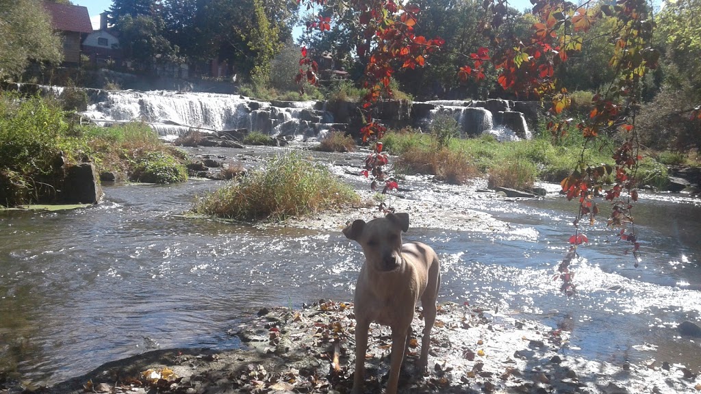 Chute de la Riviere St-Louis | 165-A Chemin Saint-Louis, Beauharnois, QC J6N 2H8, Canada