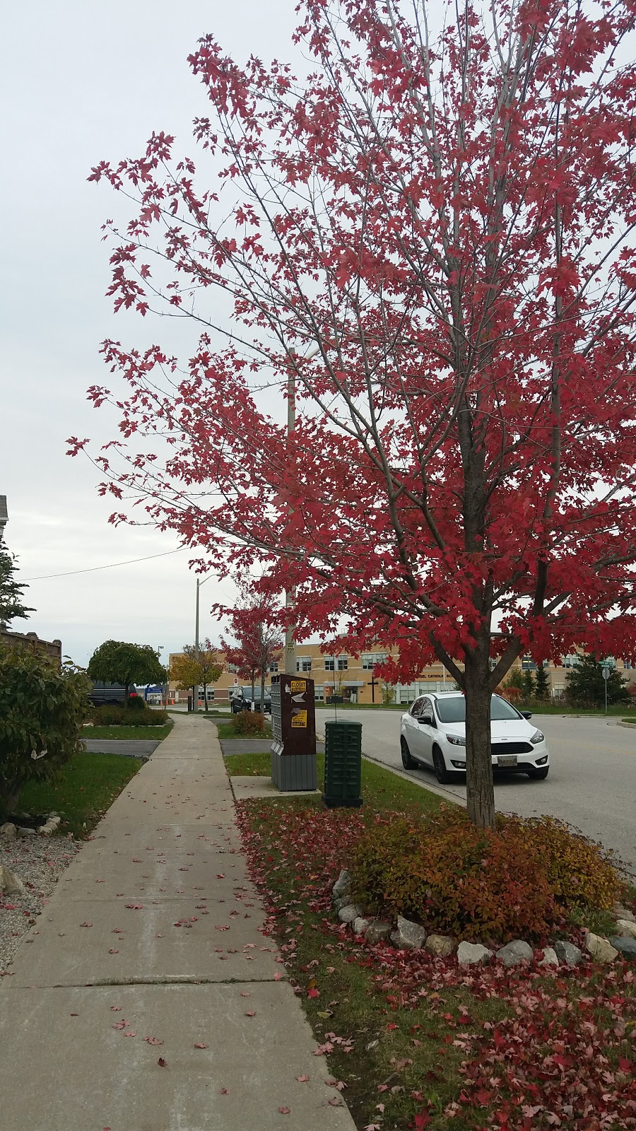 Vista Gate Parkette | 235 Ravineview Dr, Maple, ON L6A 3S9, Canada