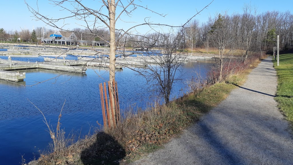 Fishing Dock | Hamilton, ON L3M, Canada | Phone: (416) 671-1975