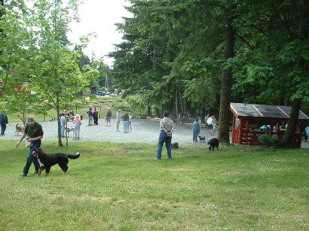 South Cowichan Off-Leash Dog Park | Empress Rd, Cobble Hill, BC V0R 1L2, Canada