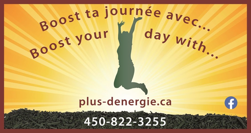 Plus dÉnergie (Spiruline proteiné et énergisante) | 3, mass, Brownsburg, QC J8G 0B1, Canada | Phone: (450) 822-3255