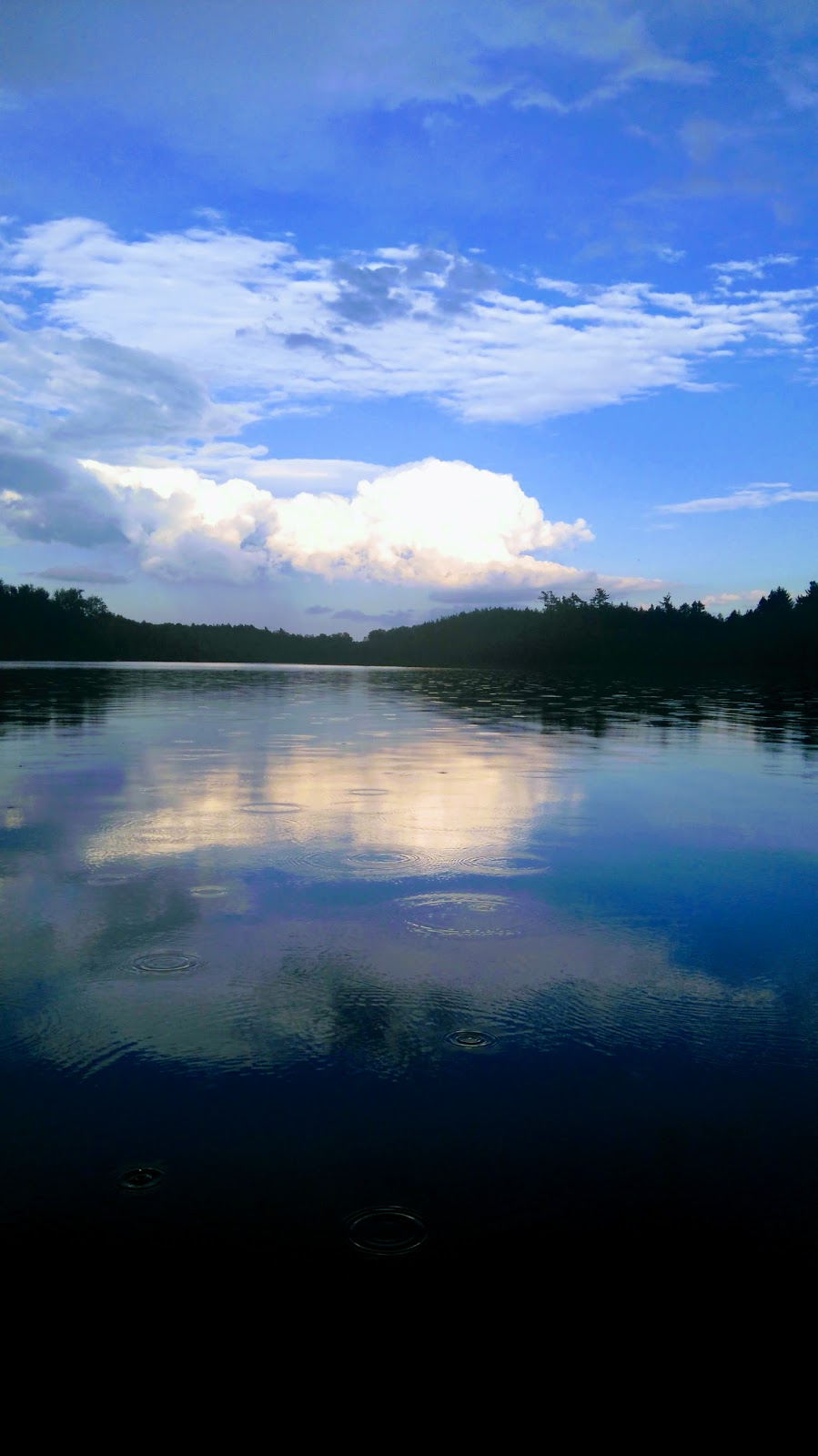 Spring Water | 11301 Lake Ridge Rd, Port Perry, ON L9L 1V8, Canada