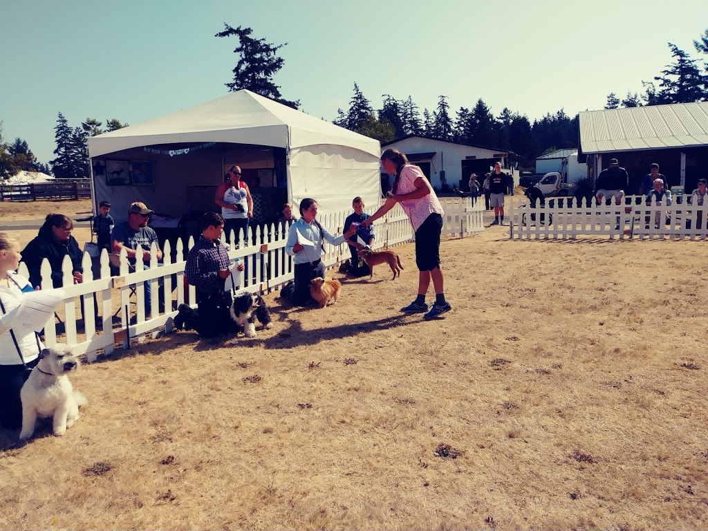 Dog/Cat 4H Exhibit Tent | Friday Harbor, WA 98250, USA