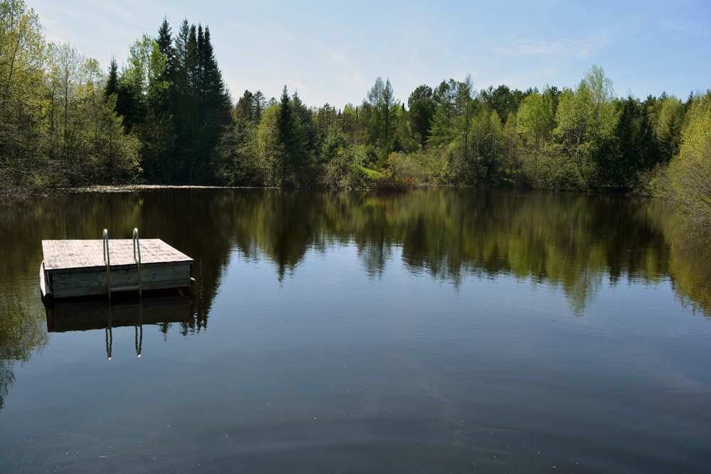 Badger Ranch | 49 Chemin Tisserand, La Minerve, QC J0T 1S0, Canada | Phone: (514) 451-5869