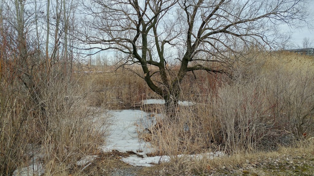 Parc Champlain | Candiac, QC J5R 3N3, Canada