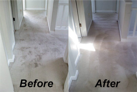 K C Carpet & Restoration Services | 1921 Broadway St #1, Port Coquitlam, BC V3C 2N2, Canada | Phone: (604) 809-2065