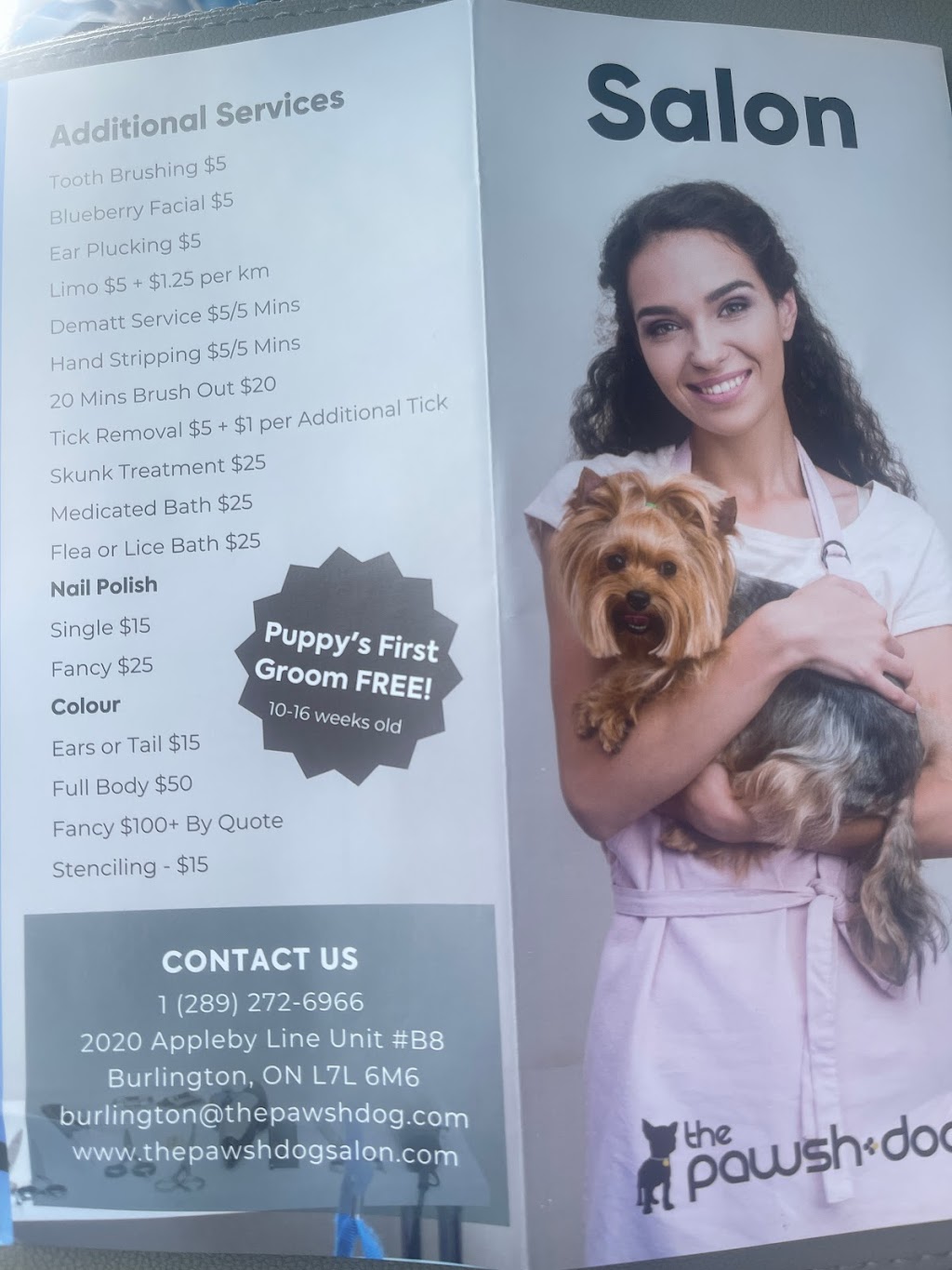 The Pawsh Dog Inc. | 2020 Appleby Ln Unit #B8, Burlington, ON L7L 6M6, Canada | Phone: (289) 272-6966