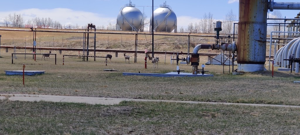 Turner Valley Gas Plant | Sunset Blvd SE, Turner Valley, AB T0L 2A0, Canada | Phone: (403) 933-6243