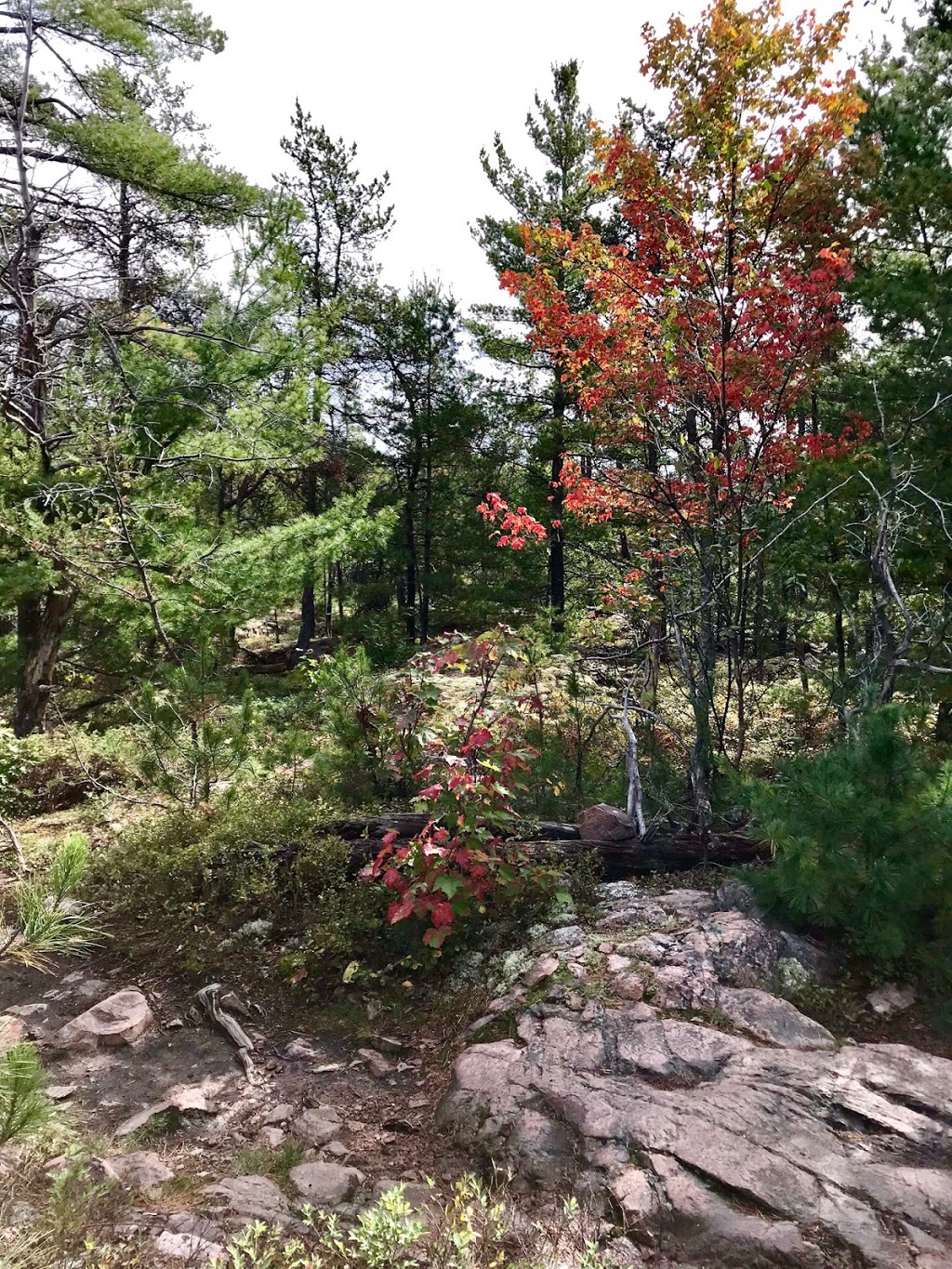 Granite Ridge Trail | Killarney, ON P0M, Canada | Phone: (705) 287-2900