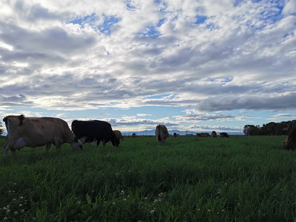 Ferme-école LAPOKITA | 201 QC-230, La Pocatière, QC G0R 1Z0, Canada | Phone: (418) 856-1110