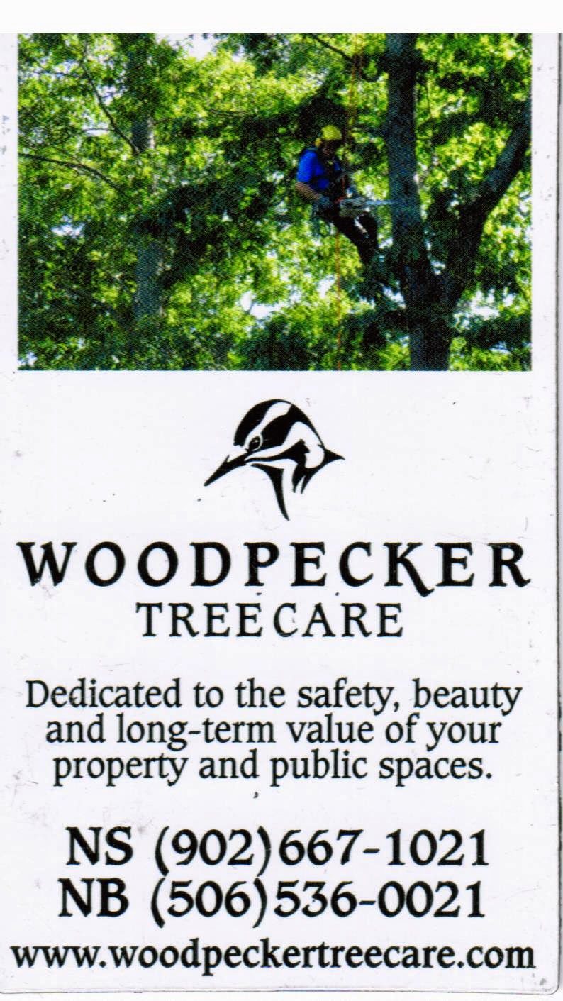 Woodpecker Tree Care NS | 25 Academy St, Amherst, NS B4H 3H9, Canada | Phone: (902) 667-1021