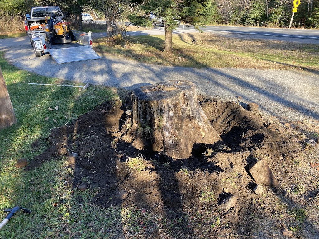 Stumpin’ Tom’s Stump Grinding | 1012 Wonderland Rd, Haliburton, ON K0M 1S0, Canada | Phone: (705) 455-2838