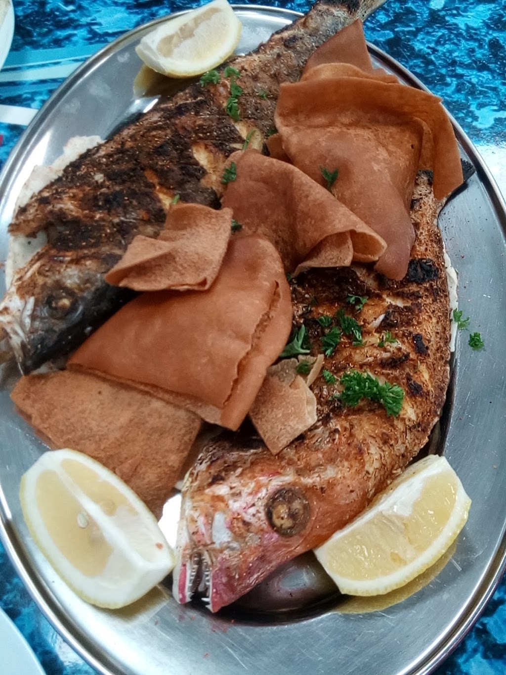 Ghadir Fish Restaurant | 1840 Lawrence Ave E, Scarborough, ON M1R 2Y4, Canada | Phone: (416) 750-7400