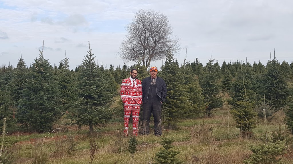 Vanderklooster Christmas Trees | 424847 Substation Rd, Burgessville, ON N0J 1C0, Canada | Phone: (519) 535-0215