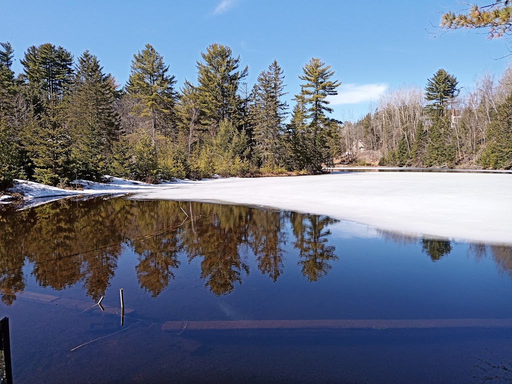 Philippe Waterloos - Photographe à Saint Élie de Caxton | 250 Rue Marie-Josée, Saint-Élie-de-Caxton, QC G0X 2N0, Canada | Phone: (844) 334-0075