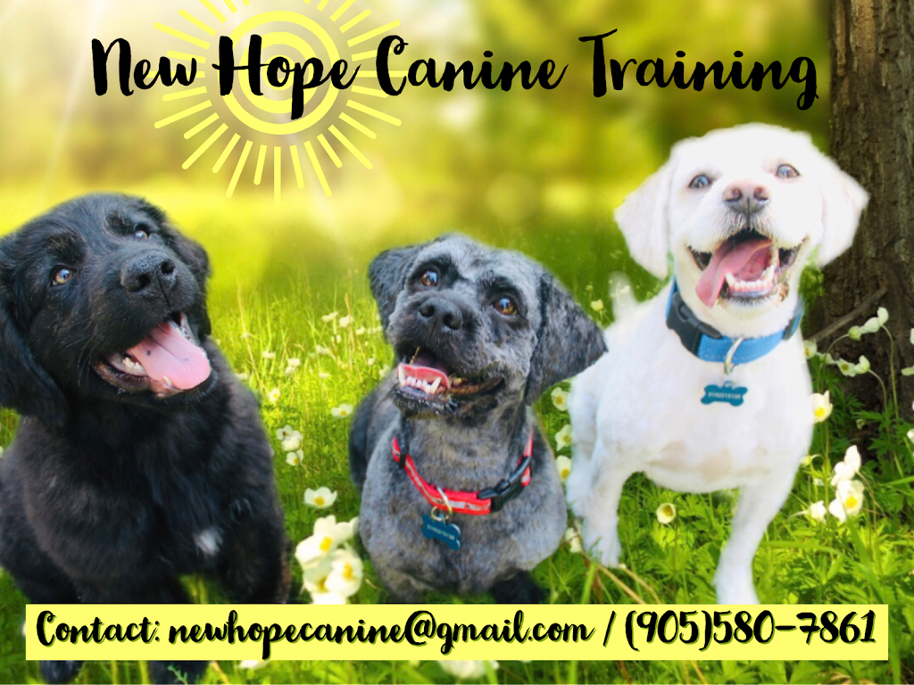 New Hope Canine Training | Redwood Ave, Cambridge, ON N3C 2S3, Canada | Phone: (905) 580-7861