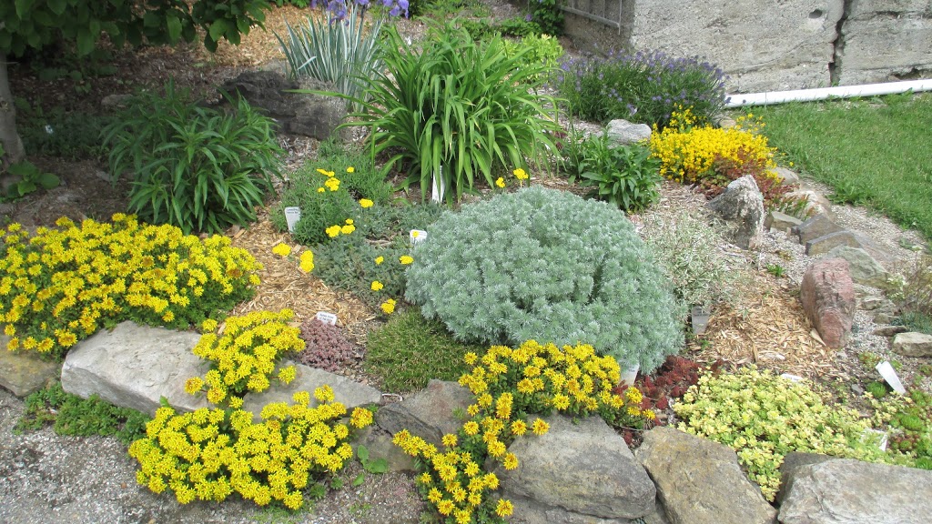 Rock Wall Gardens | 995 Code Rd, Perth, ON K7H 3C8, Canada | Phone: (613) 812-2069