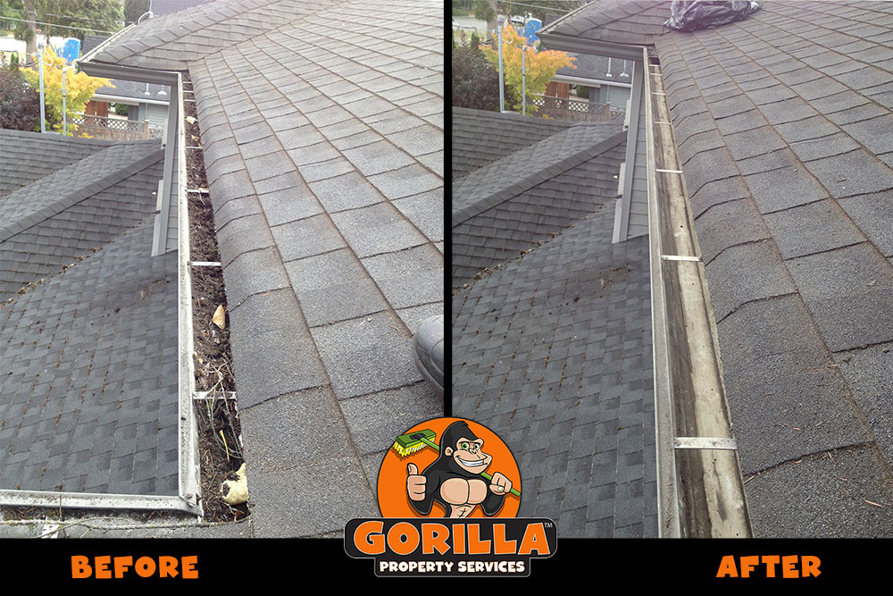 Gorilla Property Services | 20800 Lougheed Hwy. #133, Maple Ridge, BC V2X 6A0, Canada | Phone: (604) 467-4552